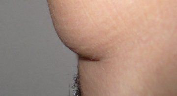 pictures/small52.jpg